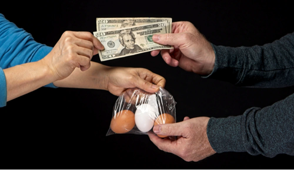Egg-celebrating Growth: How Egg Prices Gained 300% In 3 Years 