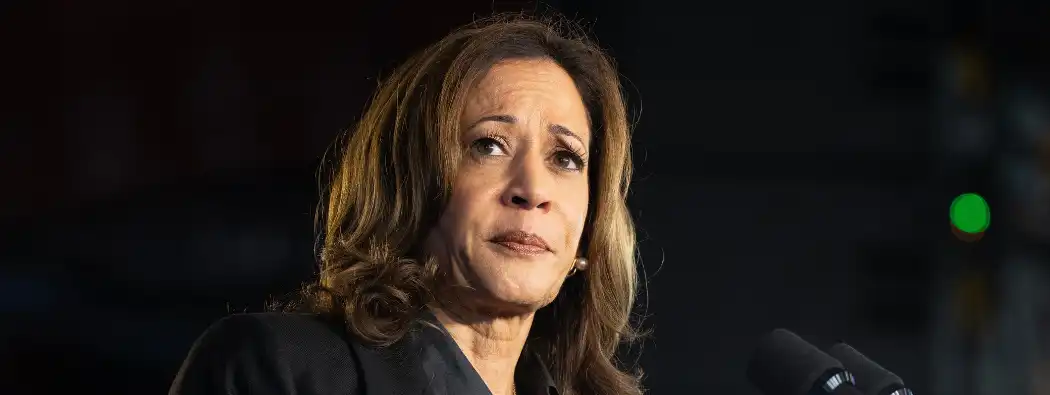The “Harris Trade”: How Market Trends and Strategies Could Be Impacted If Harris Wins the US Presidency