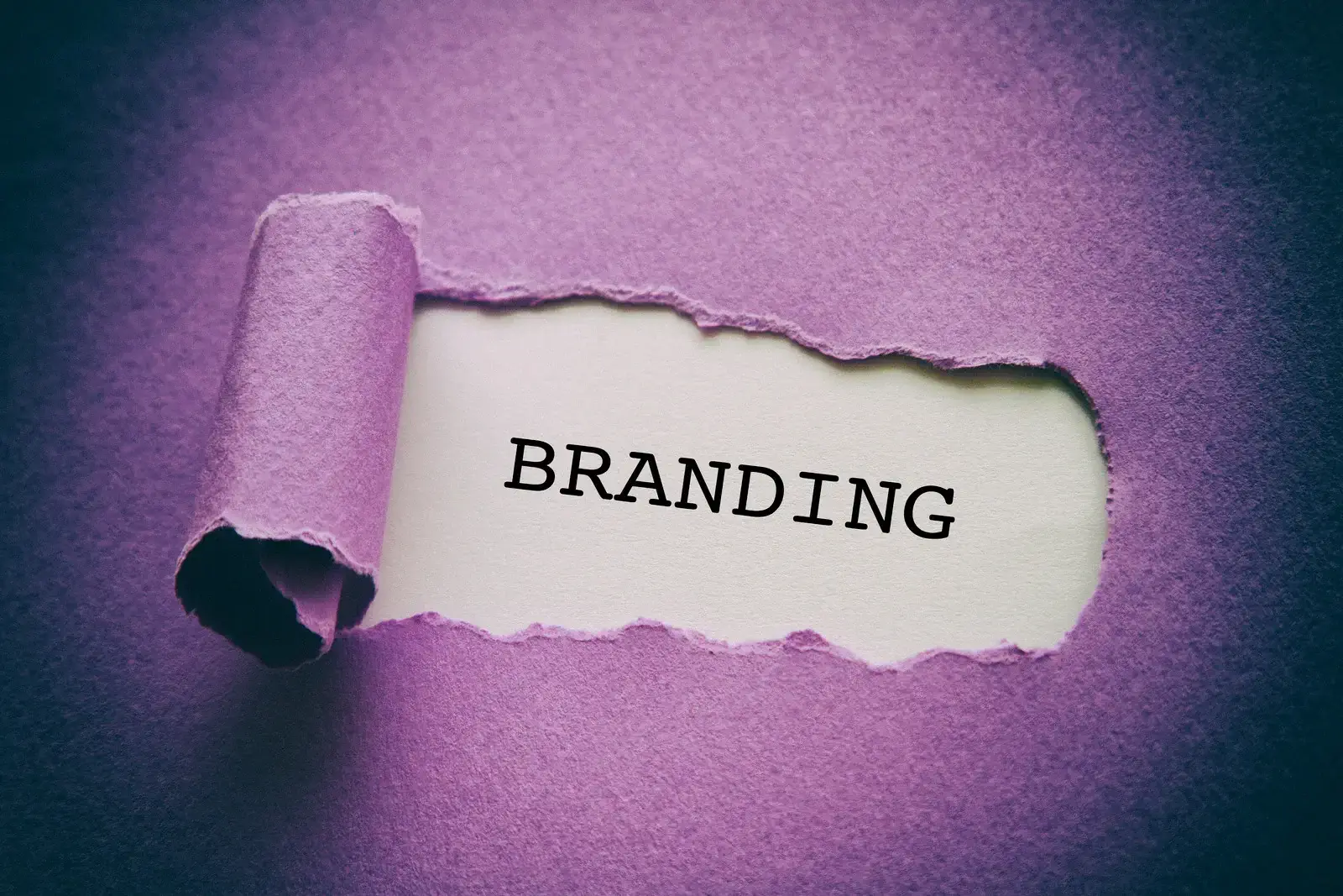 The Most Recognisable Brands in 2026: What Drives Their Global Success?