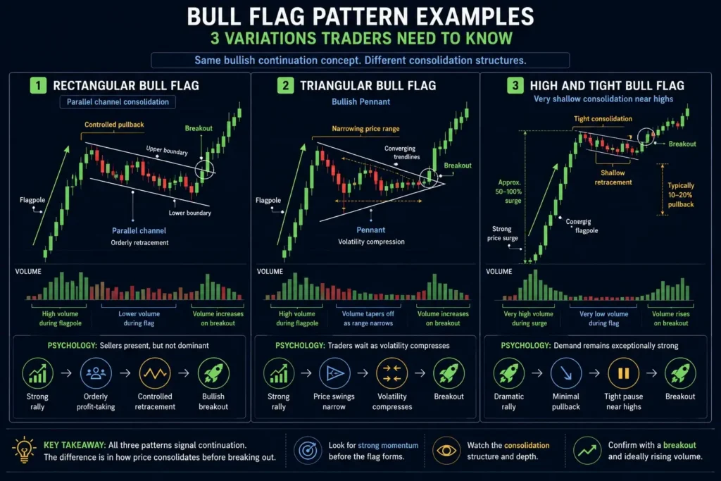 Comparison of rectangular, triangular, and high-and-tight bull flag patterns, showing their consolidation structures, volume behaviour, and bullish breakouts.
