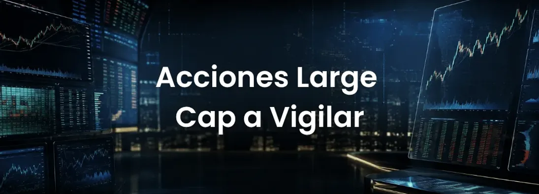 Acciones Large Cap a Vigilar En 2026